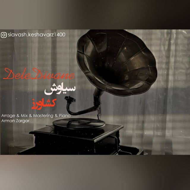 دانلود آهنگ سیاوش کشاورز دل دیوانه